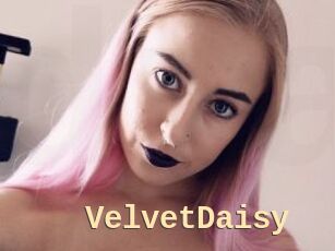 VelvetDaisy