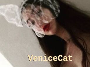 VeniceCat
