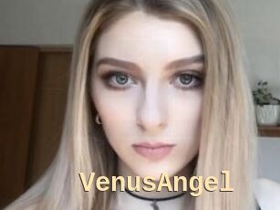VenusAngel