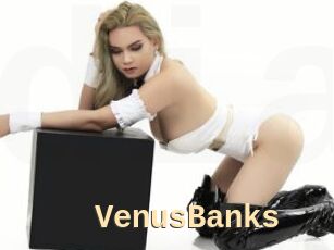 VenusBanks