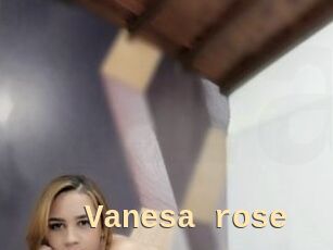 Vanesa_rose