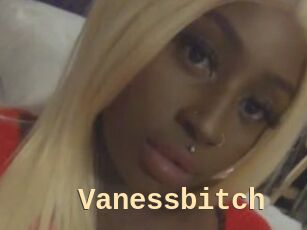 Vanessbitch