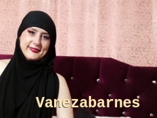 Vanezabarnes