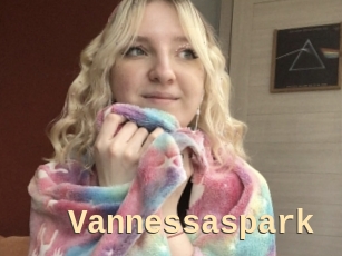Vannessaspark