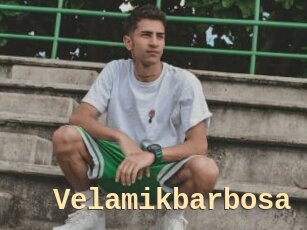 Velamikbarbosa