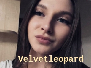 Velvetleopard