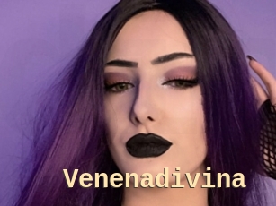 Venenadivina