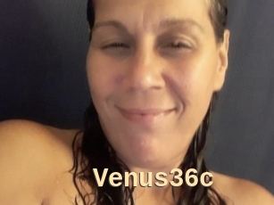 Venus36c