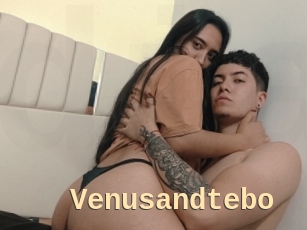 Venusandtebo