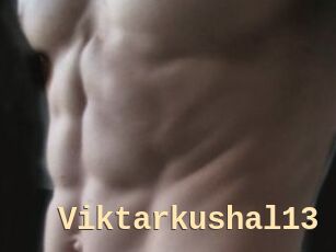 Viktarkushal13