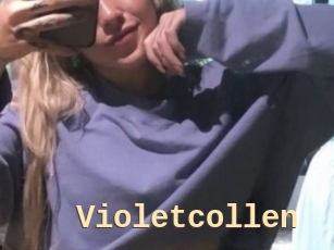 Violetcollen