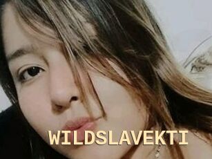 WILDSLAVEKTI