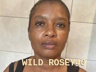 WILD_ROSEY40