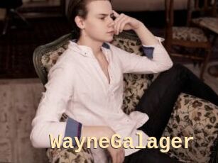 WayneGalager
