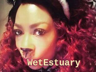 WetEstuary