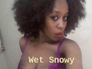 Wet_Snowy