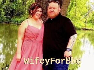 WifeyForBbc