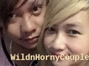 WildnHornyCouple