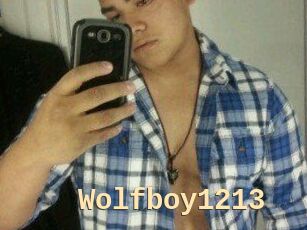 Wolfboy1213