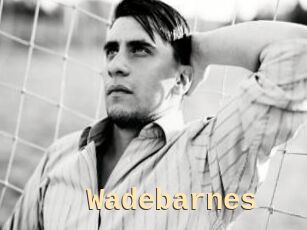 Wadebarnes