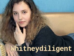 Whitneydiligent