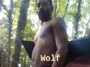Wolf