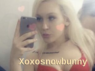 Xoxosnowbunny