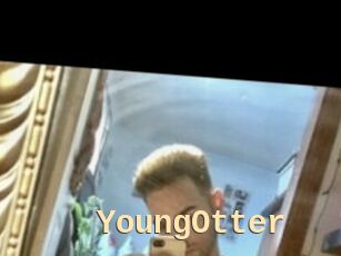 YoungOtter