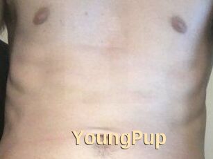 YoungPup