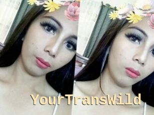YourTransWild