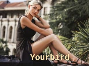 Yourbird