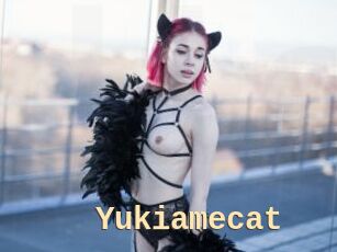 Yukiamecat