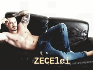 ZECElei