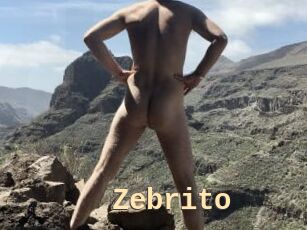 Zebrito