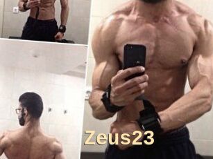 Zeus23