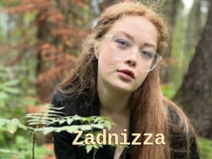 Zadnizza