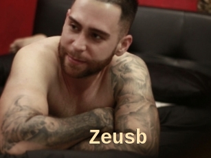 Zeusb